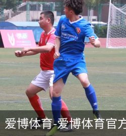 爱博体育案例